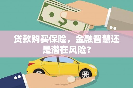 平川贷款购买保险，金融智慧还是潜在风险？