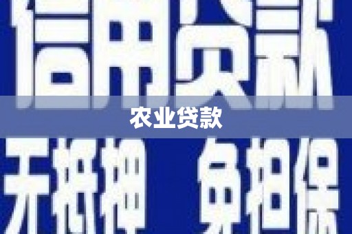 平川农业贷款