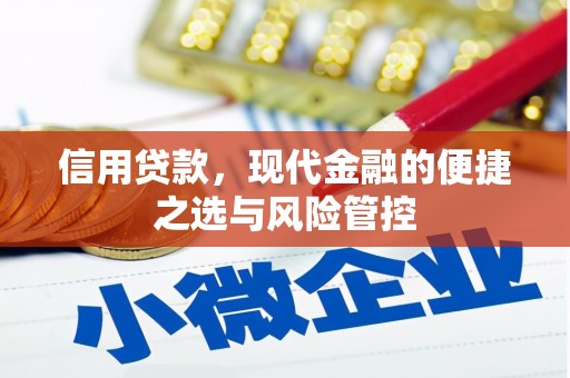 平川信用贷款，现代金融的便捷之选与风险管控
