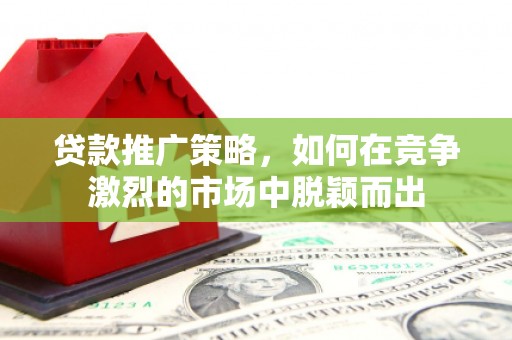 平川贷款推广策略，如何在竞争激烈的市场中脱颖而出