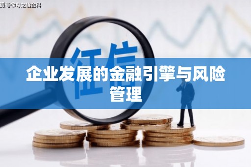 平川企业发展的金融引擎与风险管理