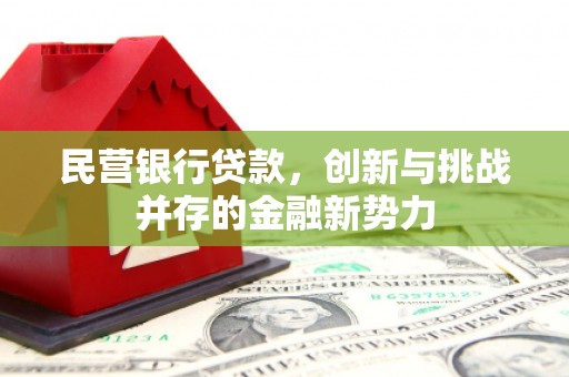 平川民营银行贷款，创新与挑战并存的金融新势力