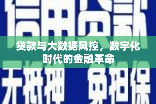 平川贷款与大数据风控，数字化时代的金融革命