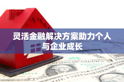平川灵活金融解决方案助力个人与企业成长