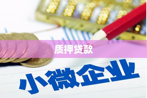 平川质押贷款