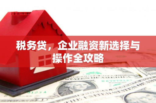 平川税务贷，企业融资新选择与操作全攻略