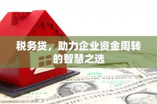平川税务贷，助力企业资金周转的智慧之选