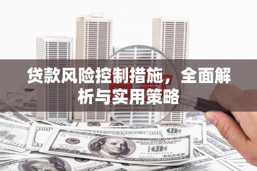 平川贷款风险控制措施，全面解析与实用策略