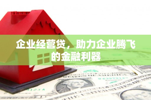 平川企业经营贷，助力企业腾飞的金融利器