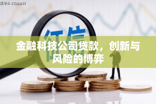 平川金融科技公司贷款，创新与风险的博弈