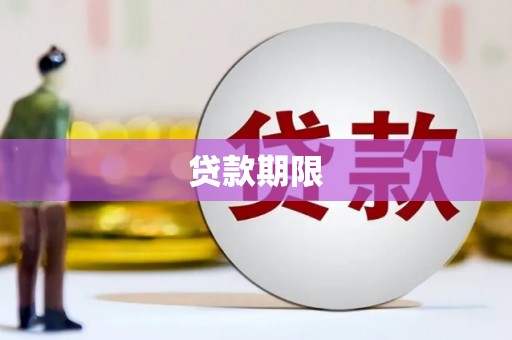 平川贷款期限