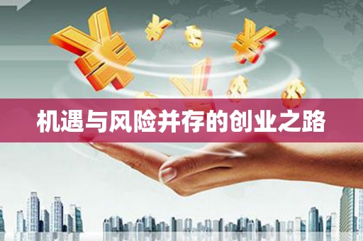平川机遇与风险并存的创业之路