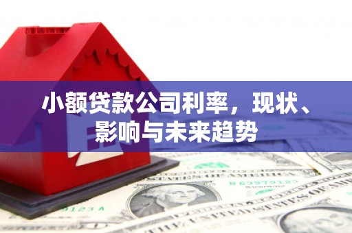平川小额贷款公司利率，现状、影响与未来趋势