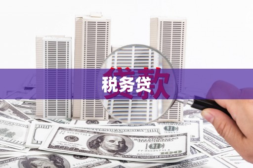 平川税务贷