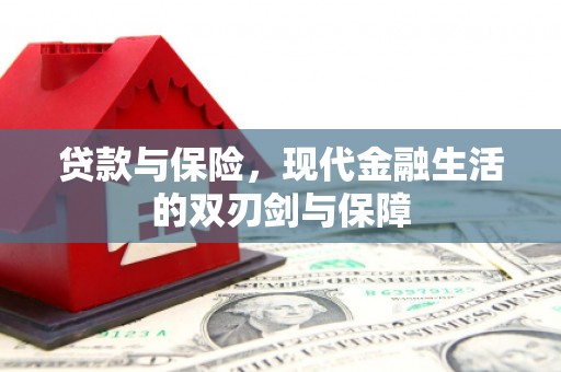 平川贷款与保险，现代金融生活的双刃剑与保障