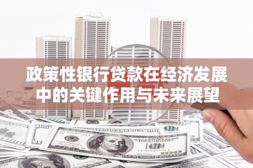 平川政策性银行贷款在经济发展中的关键作用与未来展望