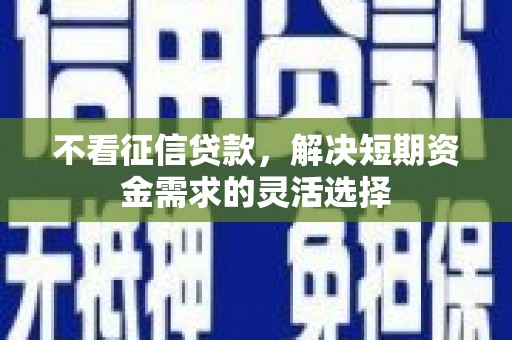平川不看征信贷款，解决短期资金需求的灵活选择