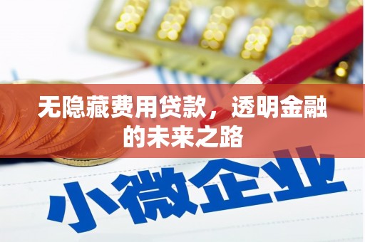 平川无隐藏费用贷款，透明金融的未来之路
