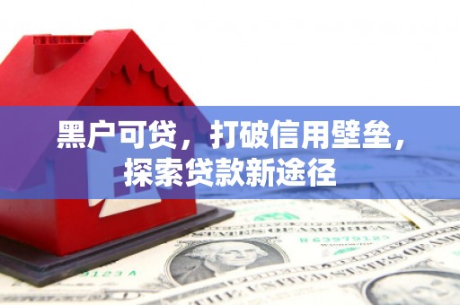 平川黑户可贷，打破信用壁垒，探索贷款新途径