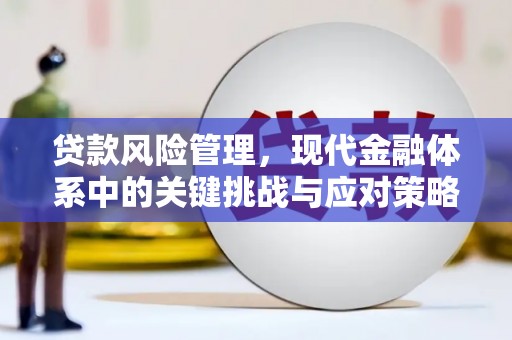 平川贷款风险管理，现代金融体系中的关键挑战与应对策略