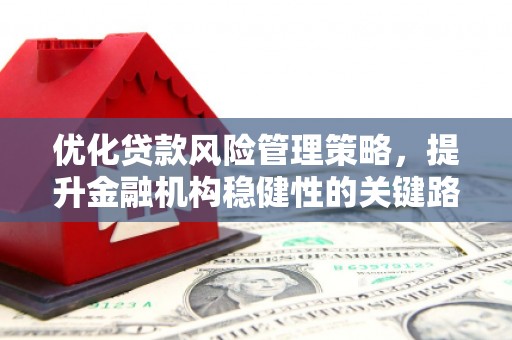 平川优化贷款风险管理策略，提升金融机构稳健性的关键路径