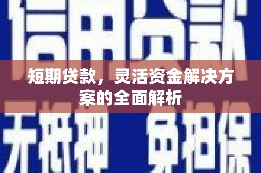 平川短期贷款，灵活资金解决方案的全面解析