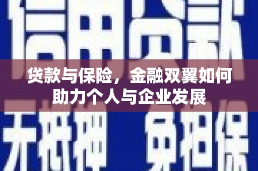 平川贷款与保险，金融双翼如何助力个人与企业发展