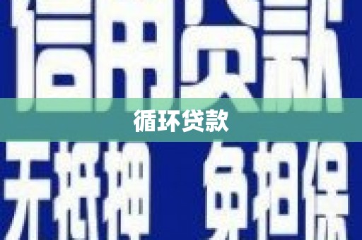 平川循环贷款