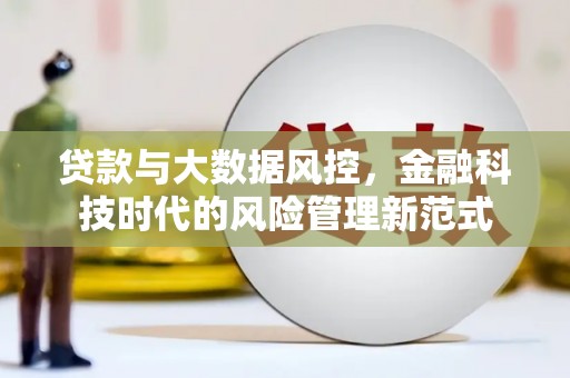 平川贷款与大数据风控，金融科技时代的风险管理新范式