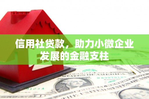 平川信用社贷款，助力小微企业发展的金融支柱