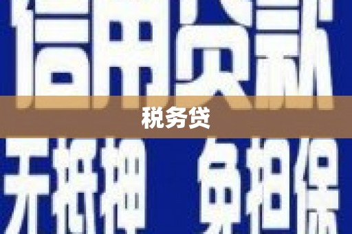 平川税务贷