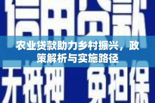 平川农业贷款助力乡村振兴，政策解析与实施路径