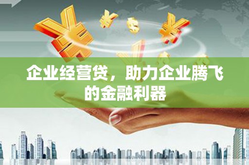 平川企业经营贷，助力企业腾飞的金融利器