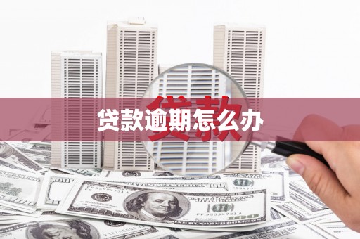 平川贷款逾期怎么办