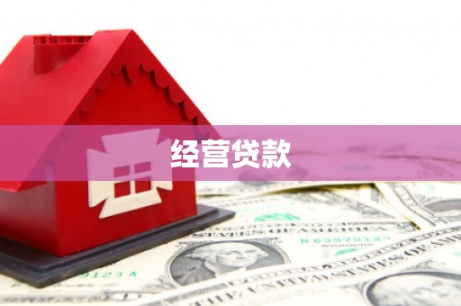 平川经营贷款
