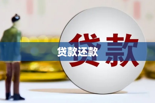 平川贷款还款