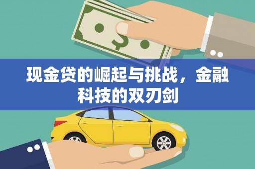 平川现金贷的崛起与挑战，金融科技的双刃剑