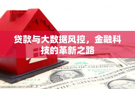 平川贷款与大数据风控，金融科技的革新之路