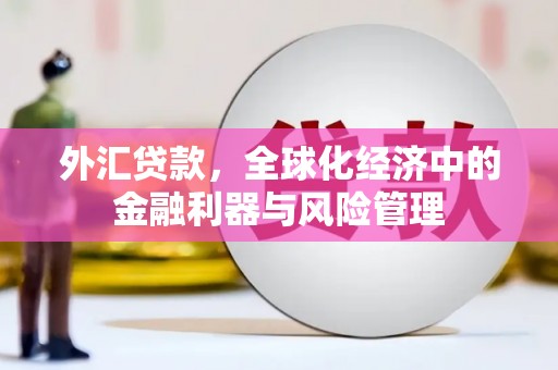 平川外汇贷款，全球化经济中的金融利器与风险管理