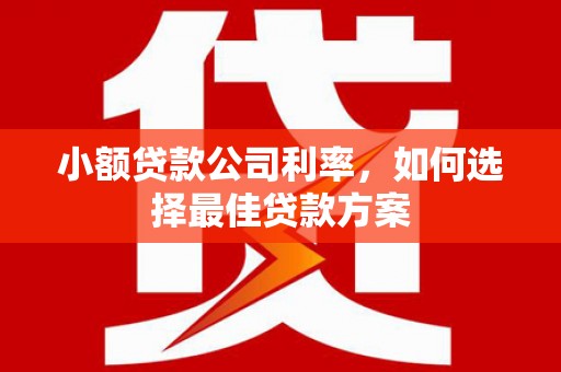 平川小额贷款公司利率，如何选择最佳贷款方案