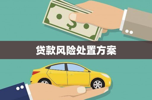 平川贷款风险处置方案