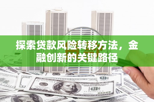 平川探索贷款风险转移方法，金融创新的关键路径