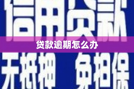 平川贷款逾期怎么办