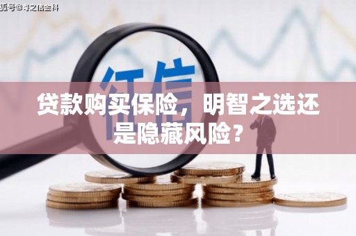 平川贷款购买保险，明智之选还是隐藏风险？