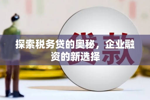 平川探索税务贷的奥秘，企业融资的新选择