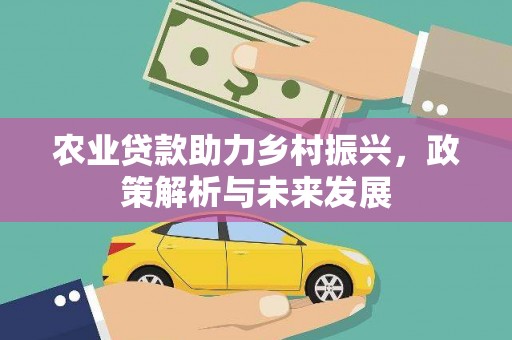 平川农业贷款助力乡村振兴，政策解析与未来发展