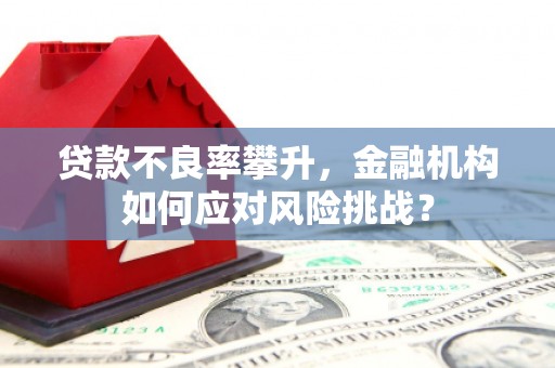 平川贷款不良率攀升，金融机构如何应对风险挑战？