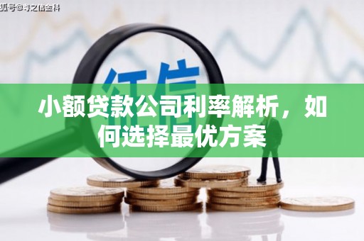 平川小额贷款公司利率解析，如何选择最优方案