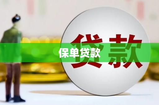 平川保单贷款