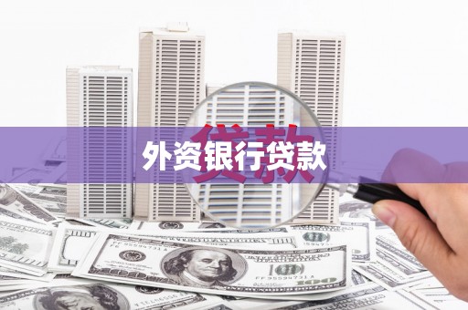 平川外资银行贷款